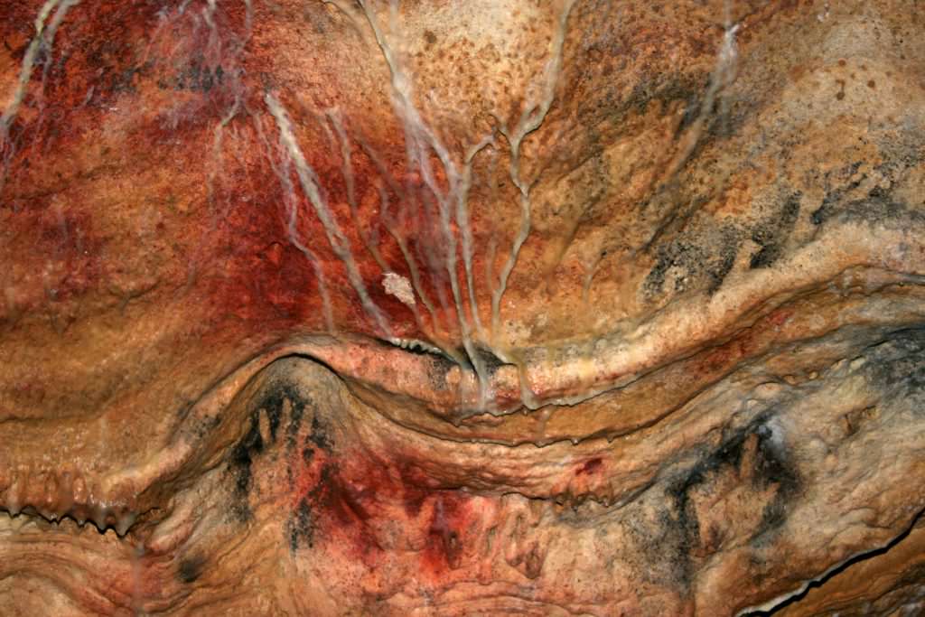 visit the gargas caves.
hands