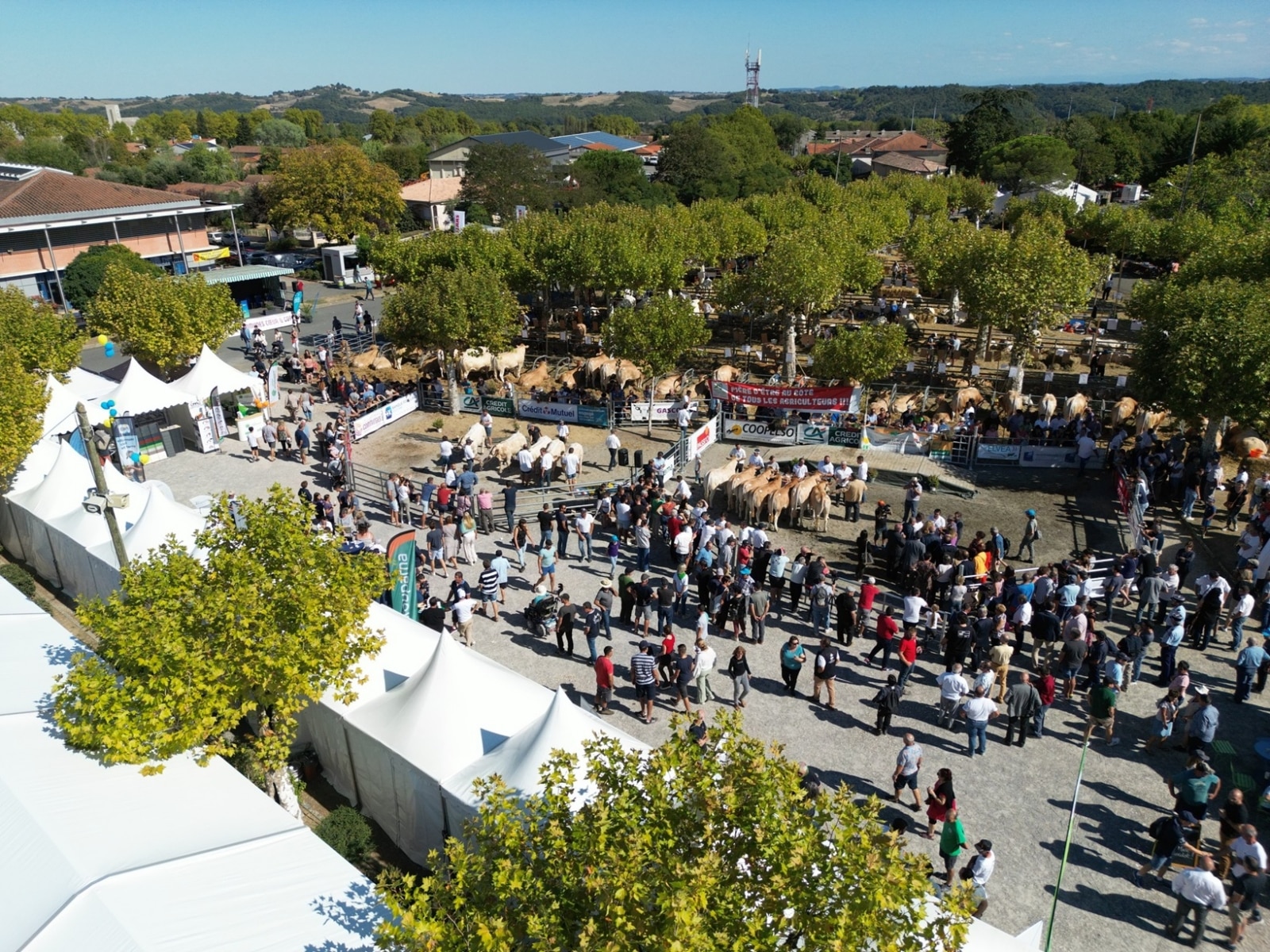 les journées du boulonnais stands