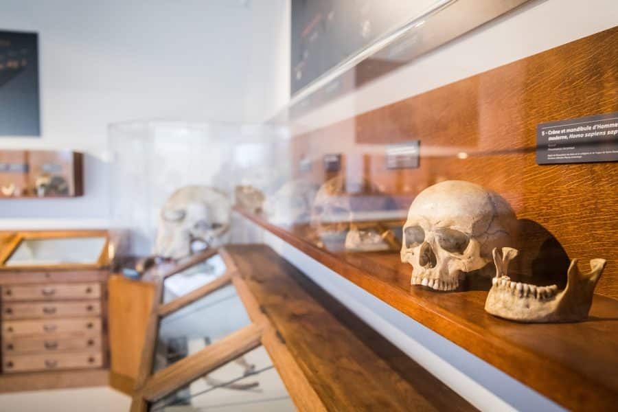 Musée de l’Aurignacien: back to the roots. museum