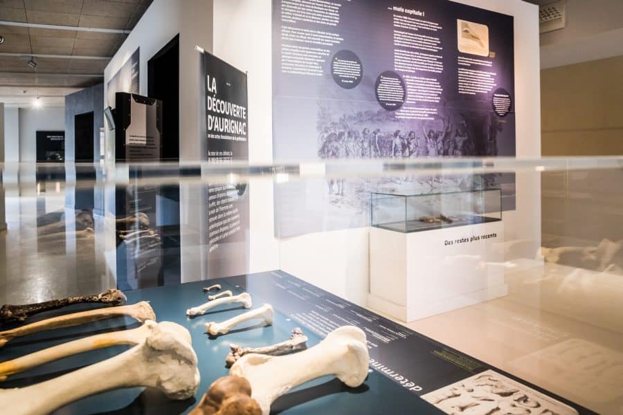 Musée de l'Aurignacien : le retour aux sources
