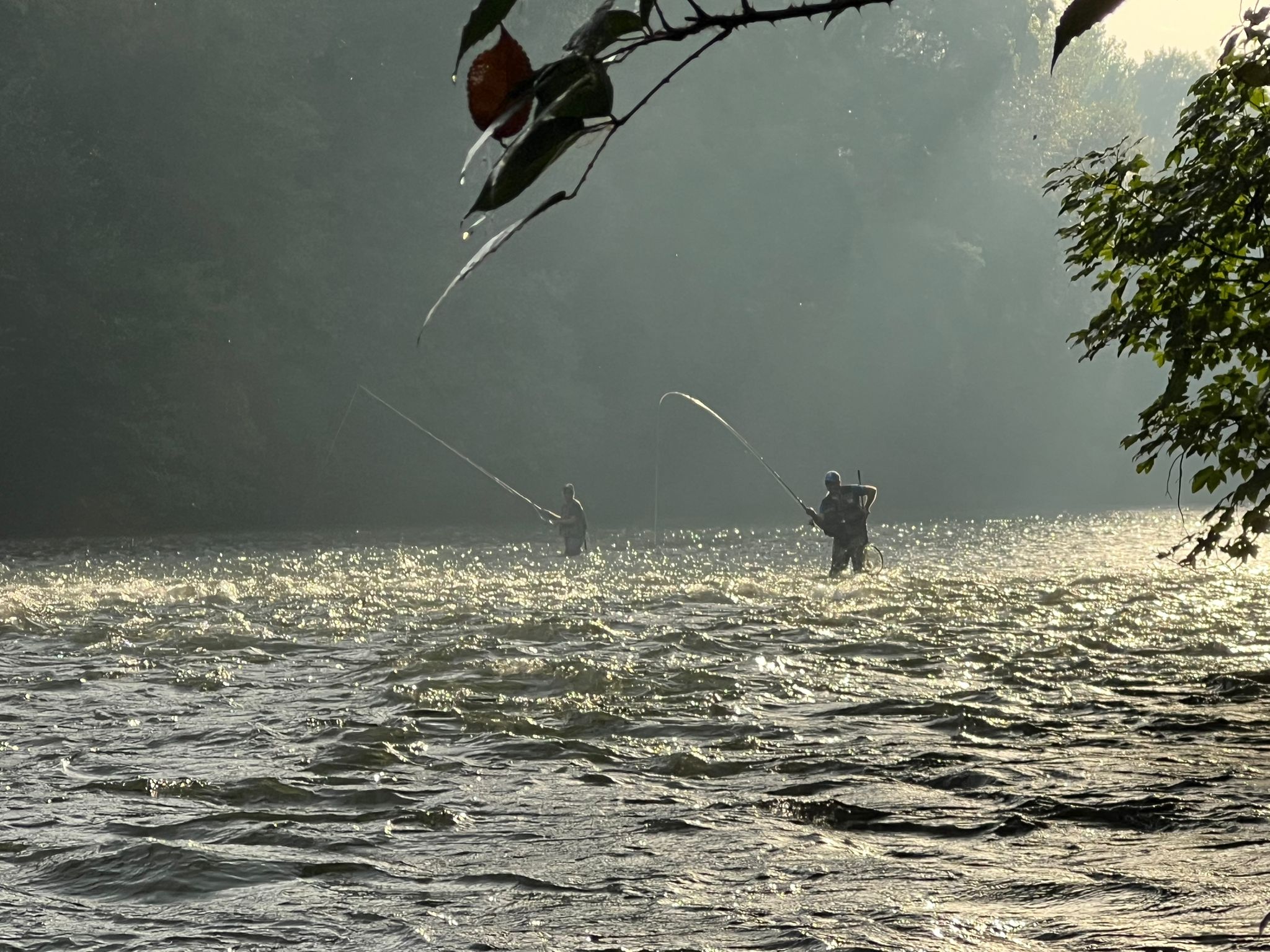 Día de pesca