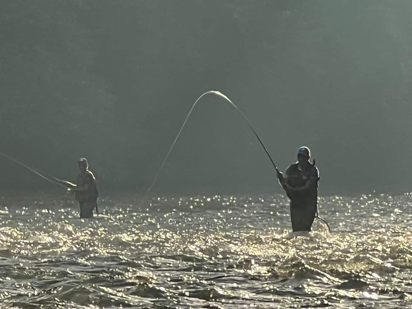 Día de pesca