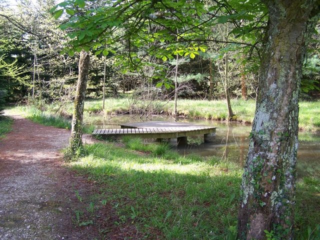 A pleins poumons Cardeilhac ponton