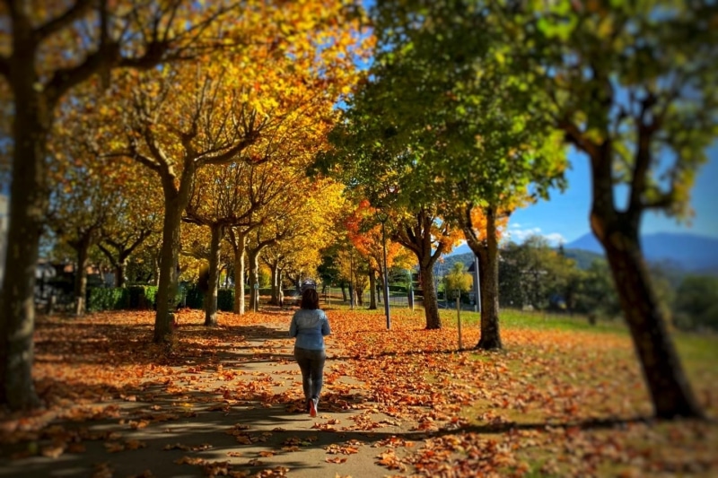 Fall Running