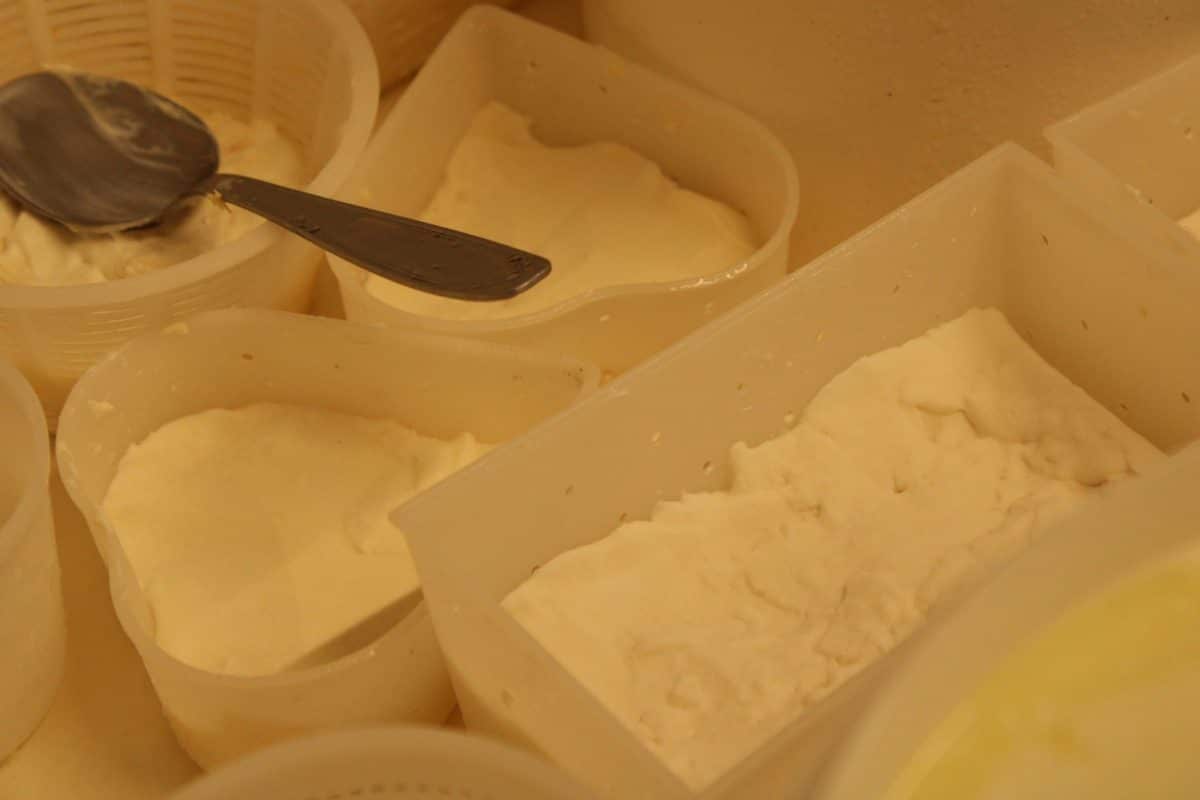 Elaboración de queso con leche cruda – Granja de la Monge – L’Isle en Dodon, Comminges-Pirineos ©Manon BERGES