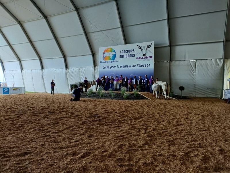 Agricultural fairs: Salon de l'agriculture Les Pyrénéennes in Saint-Gaudens