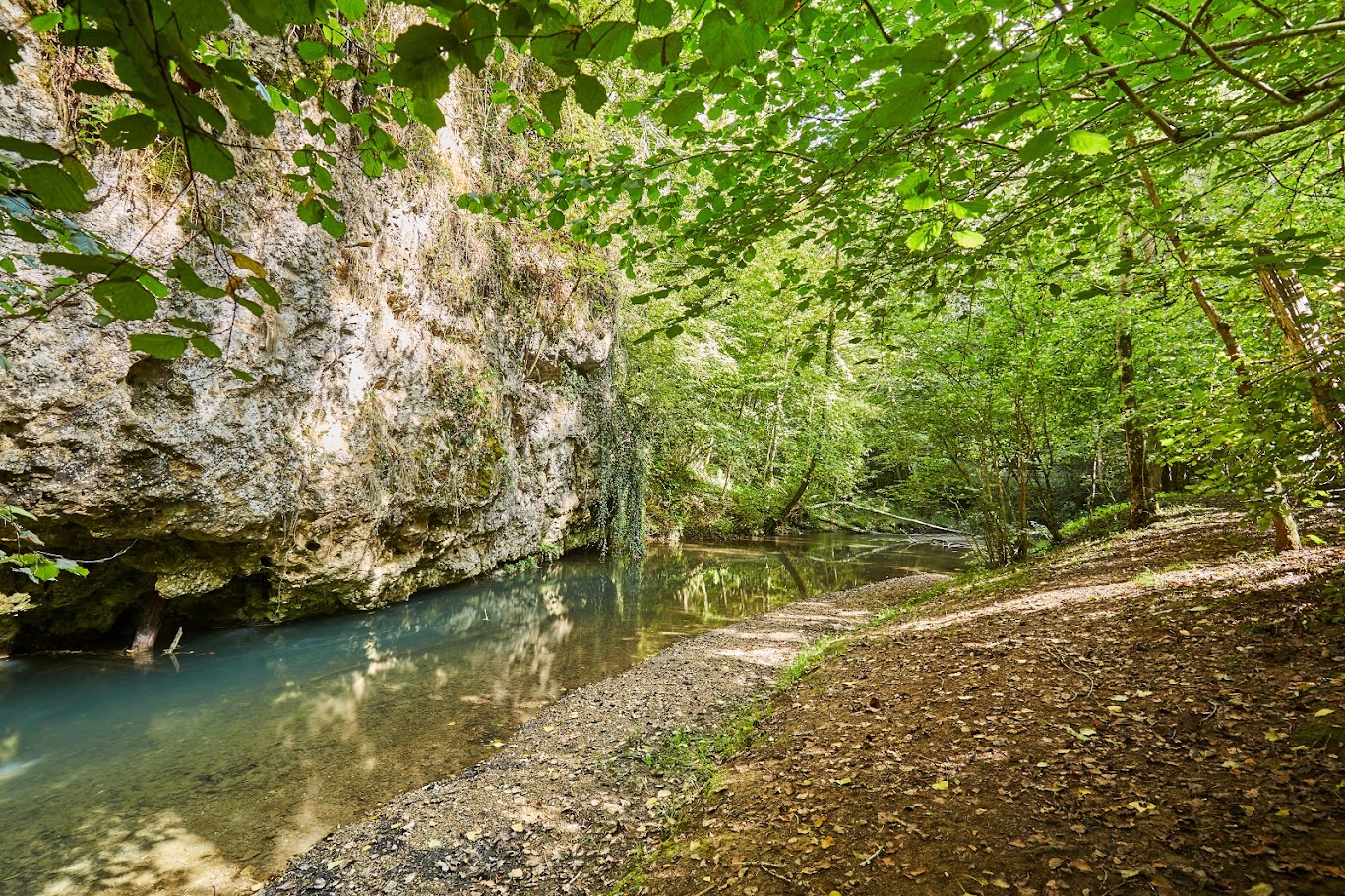 Gorges de la save